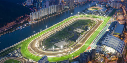 Hong Kong Sha-Tin Hipodromu'nda koşulacak Grup yarışları için Dünya genelinde şampiyon safkanlar Uçakla Hong Kong'da