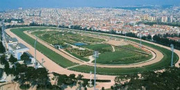 23 Kasım Perşembe günü İZMİR'de yapılan yarışlarda bir sonraki koşularında takip edilmesi gereken safkanlar