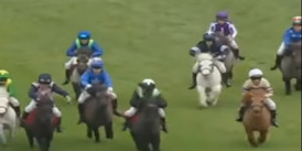 Çocuk pony atların yarışı ile inek, kaplan ve sosisli modeli koşan insanlar